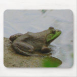 Frog in the Mud Mouse Mat