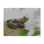 Frog in the Mud Post Cards