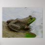 Frog in the Mud Print