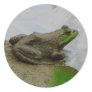 Frog in the Mud Sticker