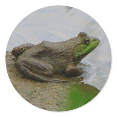 Frog in the Mud Sticker by princessklb07