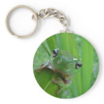 Frog Keychain