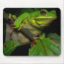 Frog lovers mousepad