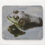 Frog Mousepad