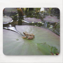 Frog on a lily pad. mouse pad