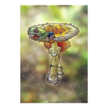 Frog on a Stool Photo