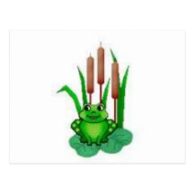 frog on a water lilly postcards