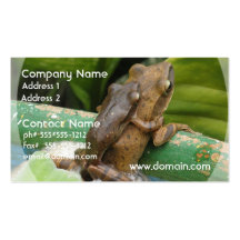 Frog on Back Business Cards