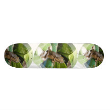 Frog On Back Skateboard