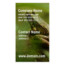 Frog on Log Business Cards