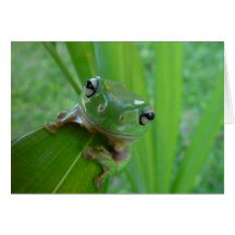 Frog Photo Greeting Card