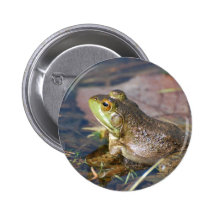 Frog Pin