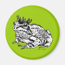 Frog Prince Magnets