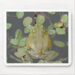 Frog Prince Mouse Pad