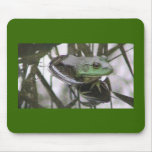 Frog Reflection usepad