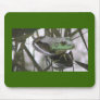 Frog Reflection usepad