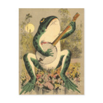 Frog Serenade Postcard