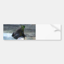 Frog Sitting By A Pool Bumper Stickers