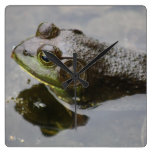 Frog Square Wall Clocks