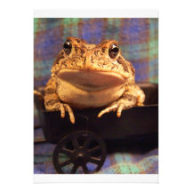 Frog Toad in black wagon with plaid background Custom Invitations