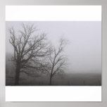 froggy morning poster