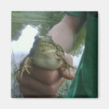 Froggy Pal Magnets