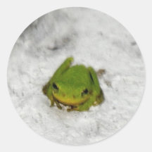 froggy stickers