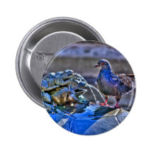 Frogs And A Pigeon Pin