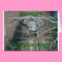 Frogs, Grandson Birthday cards
