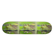 Frogs in Swamp Skateboard