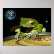 frogs life on earth posters