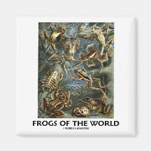 Frogs of the World (Ernst Haeckel) Refrigerator Magnets