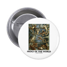 Frogs of the World (Ernst Haeckel) Pinback Buttons