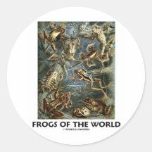 Frogs of the World (Ernst Haeckel) Sticker