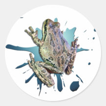 FROGY STICKER