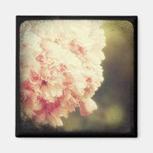 "From A Passing Car" Magnet