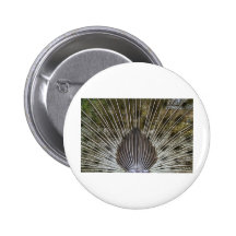From Behind Button