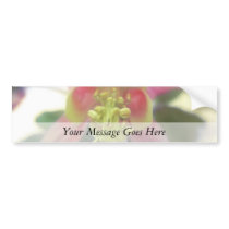 From Below - Aquilegia Bloom Bumper Stickers