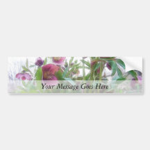 From Below - Garden Hellebore Plant Bumper Sticker