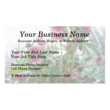From Below - Garden Hellebore Plant Business Card Templates