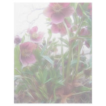 From Below - Garden Hellebore Plant Personalized Letterhead