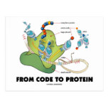 From Code To Protein (Protein Synthesis) Post Card