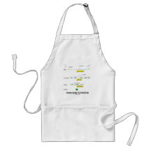 From Gene To Protein Apron