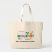 From Light To Chemical Energy (Photosynthesis) Bag