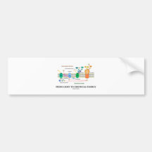 From Light To Chemical Energy (Photosynthesis) Bumper Stickers