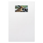From meow to you. customized stationery