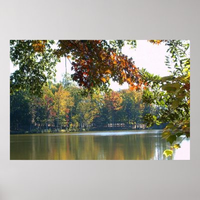 From Summer to Fall by laohare