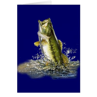 From the FreshWater Collection by FishTs.com by FishTsdotcom