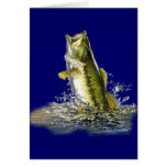 From the FreshWater Collection by FishTs.com cards