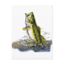 From the FreshWater Collection by FishTs.com